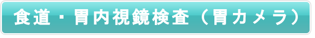 食道・胃内視鏡検査(胃カメラ)